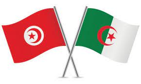 Algeria, large, predominantly muslim country of north africa. Bzoxuiuukou6zm