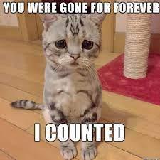 100 Of The Best I Miss You Memes To Send To Your Bae Inspirationfeed In 2021 I Miss You Meme Missing You Memes Miss You Funny