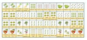 Companion Planting Layout First Year Help With Layout Gartnern Auf Kleinem Raum Mischkultur Garten Grundriss