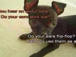 Do Your Ears Hang Low Youtube