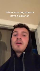 I Didnt See A Collar