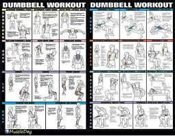 Dumbbell Workout Program Pdf Sport1stfuture Org