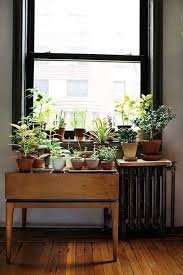 The Urban Gardener Indoor Window Garden Inspiration Indoor Window Garden Garden Windows Indoor Plants