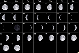 Collect Moon Phases July 2019 Calendar Calendar Printables Calendar June Moon Phase Calendar