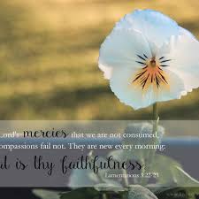 Kjv Bible Wallpapers Great Is Thy Faithfulness Lamentations 3 22 23 Lamentations Christian Facebook Bible Verse Wallpaper