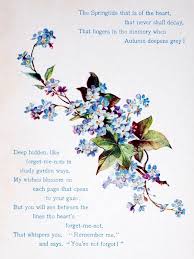 Forget Me Not Flower Poem Forget Me Not Little Flowers