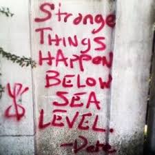 Graffiti Around New Orleans We Love Nola New Orleans New Orleans Louisiana Graffiti