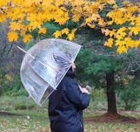 Amazon.com: Totes Signature Clear Bubble, Rain & Windproof ...