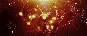 Mary Had A Little Book Blog Blog Tour The Book Jumper By Mechthild Glaser Fairies Dancing Peter Pan Modern Magic