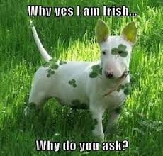 St Patrick S Day Memes Geeks Gamers