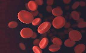 Image result for Anemia