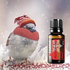 Dōterra Holiday Joy Holiday Blend Fill Your Home With The Inviting Scent Of Holiday Joy Essential Oil Ble Joy Essential Oil Wild Orange Essential Oil Blends