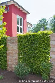 Es Muss Nicht Nur Immer Die Mauer Als Sichtschutz Herhalten Die Mit Unterbrechungen Ge Easy Garden Ideas Landscaping Stone Walls Garden Garden Stepping Stones