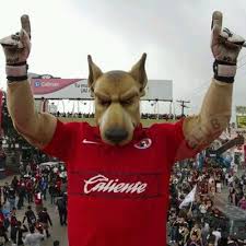 Encuentra las últimas noticias de xolos de tijuana: Xolos De Tijuana Xolosdetijuana Twitter