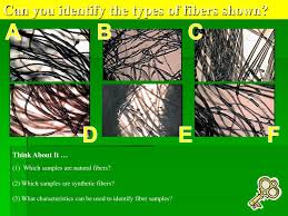 Fibers Criminalistics Ppt Download