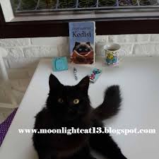 Moonlightcat13 Dalay Lama Nin Kedisi David Michie Guz Okuma S Okuma Kitap Ve Sevgililer