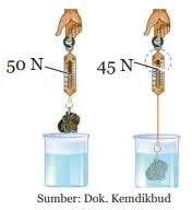 Rantai makanan bentuk interaksi keterangan 1. Kunci Jawaban Ipa Kelas 8 Halaman 38 39 40 41 Uji Kompetensi Bab 7 Pilihan Ganda Dan Essay Wali Kelas Sd