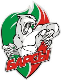 Russia/tatarstan/, kazan (on yandex.maps/google maps). Logotip Ak Bars Skachat V Vektore I Kartinkoj Besplatno