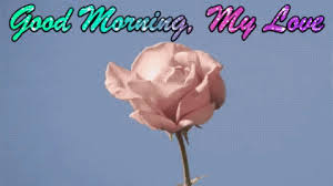 Good morning, my love! every morning i thank the world for giving you to me. Funny Gifs Good Morning Love Gif Vsgif Com