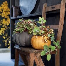 Des Plantes Installees Dans Des Potirons Potiron Deco Plante Jardin D Automne