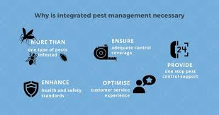 It is our contention in discussing the future of integrated pest management that this strategic approach to pest regulation is closely allied to the we propose that public awareness of ipm extend to moderation in use of pesticides and consideration of alternative controls in the home gardens and. What Is Integrated Pest Management In Singapore