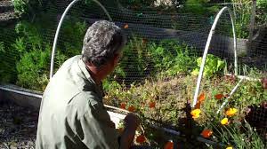 Check spelling or type a new query. Hoop Frame For Bird Netting Youtube