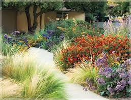 41 Garden Design And Landscaping Solutions Landscape Design California Landscaping Garden Landscape Design