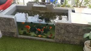 Koi membutuhkan hangatnya sinar matahari minimal tiga jam per hari. Modal Rp800 Ribuan Bikin Kolam Ikan Minimalis Hasilnya Mewah Rumah123 Com