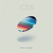 Image result for Lotus discolor
