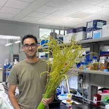 Arsheed Sheikh (@ArsheedSheikh)