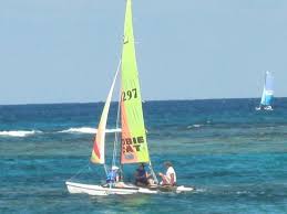 Résultat de recherche d'images pour "cat boat"