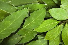 Cooking With Bay Leaves The Dos And Don Ts Spiceography