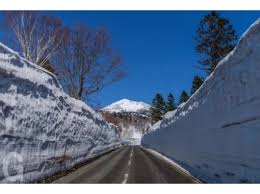 Image result for Hakkoda Walk