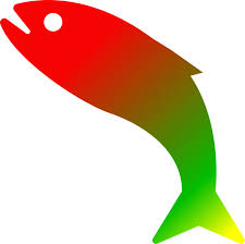 We did not find results for: Fish Clipart Clear Background Rainbow Transparent No Background Clipart Png Download Full Size Clipart 78345 Pinclipart