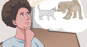 How to gain the trust of an abused dog? 3 Ways To Get Along With Your Dog Wikihow