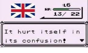 L6 I 13 22 It Hurt Itself In Its Confusion Confused Meme On Me Me