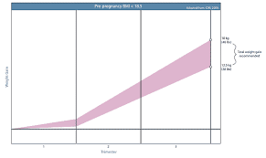 Pregnancy Weight Gain Calculator Nutrition And Healthy