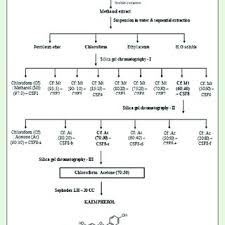 Image result for Blepharis integrifolia