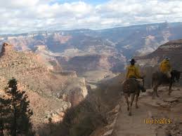 If you can hardly walk after your trail ride, consider a few more rides or some lessons before you head out for your first grand canyon mule trip. The Grand Canyon On Mule Back