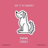 The Sanskrit Word For Dog Is Svana An Example Is Adho Mukha Svanasana Downward Facing Dog Once You Break Down Th Sanskrit Words Sanskrit Names Sanskrit