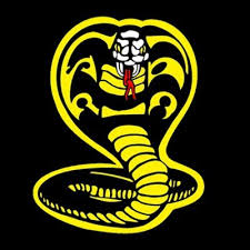 This is a reference to a reference, as skeletons have long been a cobra kai staple; Cobra Kai Card Fighter On Twitter Pre Order Cobra Kai Card Fighter Before It S March 19th Launch In Order To Get The Miguel Halloween Skeleton Costume As A Bonus This Is Only Available