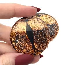 Kupfer Ochsenfrosch Realistisches Tier Reptil oder Drache Glasaugen 6mm bis  60mm Schmuckherstellung Kunst Puppenteile Faux Taxidermy Skulptur Kreatur