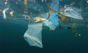 Wwf malaysia mengesyorkan keperluan sistem pengurusan pembuangan plastik secara menyeluruh di negara ini. Pencemaran Plastik Apa Yang Anda Boleh Bantu Utusan Borneo Online