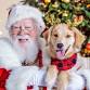 PET PHOTOS WITH SANTA