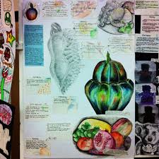 Abigail Dudley Primary And Secondary Research Sketch Book Art Gcse Art