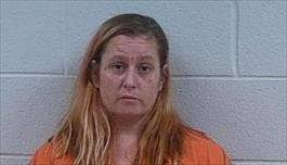 POLK SO MEDIA ARREST SUMMARY