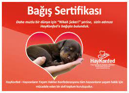 nikah sekeri yerine bagis sertifikasi haykonfed hayvanlarin yasam haklari konfederasyonu