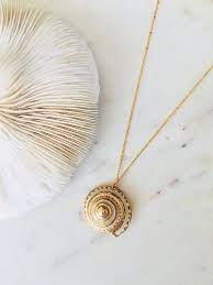 Pin On Seashells