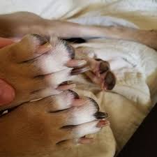 Check spelling or type a new query. Madison Veterinary Hospital Veterinarians 1605 Hughes Rd Madison Al Phone Number Yelp