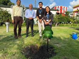 plantation #greeneconomy #ecosystem